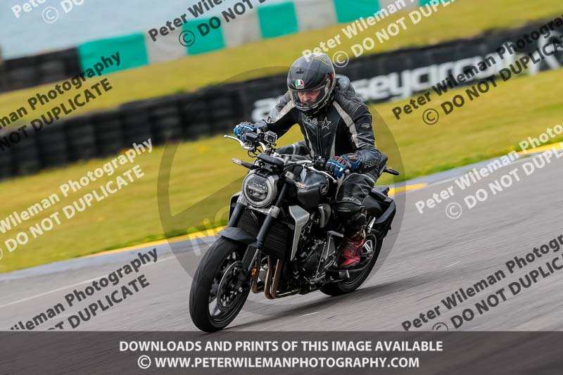 PJ Motorsport 2019;anglesey no limits trackday;anglesey photographs;anglesey trackday photographs;enduro digital images;event digital images;eventdigitalimages;no limits trackdays;peter wileman photography;racing digital images;trac mon;trackday digital images;trackday photos;ty croes